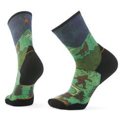 Smartwool Trail run targeted cushion (SW002693G74)
