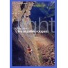 Michel Piola TOPO Les Aiguilles Rouges 2 light Michel Piola | Topo…