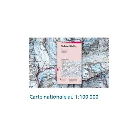 Swisstopo CARTES NATIONALES AU 1:100 000