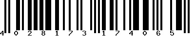 EAN-13 : 4028173174065 EAN-13 : 4028173174065