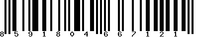EAN-13 : 8591804667121