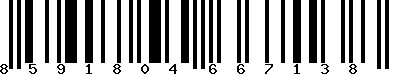 EAN-13 : 8591804667138 EAN-13 : 8591804667138