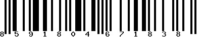 EAN-13 : 8591804671838